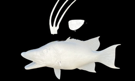 21-INCH HOG SNAPPER BLANK, STANDARD