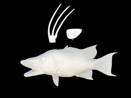 21-INCH HOG SNAPPER BLANK, STANDARD
