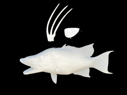 21-INCH HOG SNAPPER BLANK, STANDARD