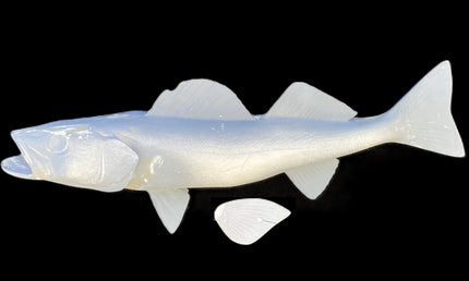 21-INCH WALLEYE BLANK (L), STANDARD