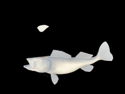 21-INCH WALLEYE BLANK (R), STANDARD