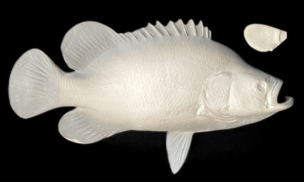25-INCH TRIPLETAIL BLANK, STANDARD