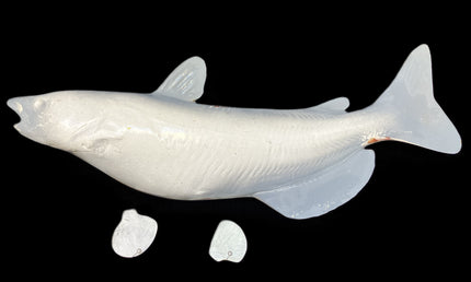 22-INCH CATFISH BLANK (L), STANDARD