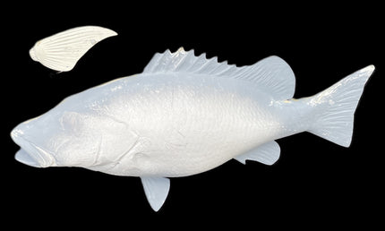 22-INCH SCHOOLMASTER SNAPPER BLANK, STANDARD