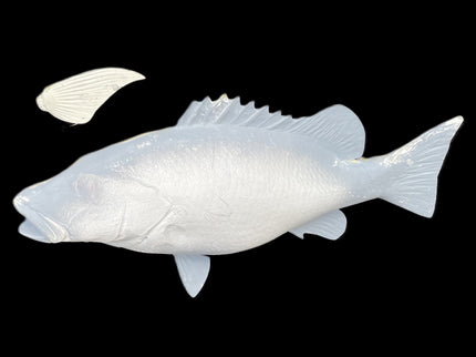 22-INCH SCHOOLMASTER SNAPPER BLANK, STANDARD