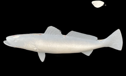 22-INCH SEATROUT BLANK, STANDARD