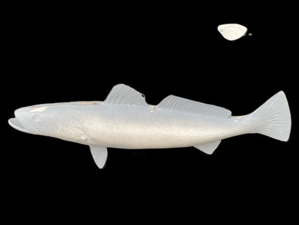 22-INCH SEATROUT BLANK, STANDARD