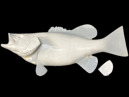 22-INCH SMALLMOUTH BASS BLANK (L), STANDARD