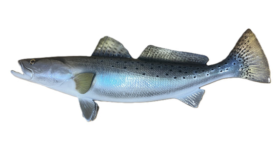 22-INCH SEATROUT