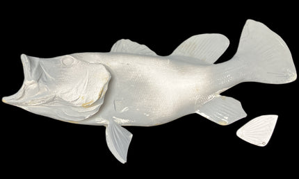 23-INCH PEACOCK BASS BLANK, STANDARD