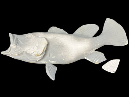23-INCH PEACOCK BASS BLANK, STANDARD