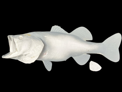 8-POUND LARGEMOUTH BASS BLANK, STANDARD