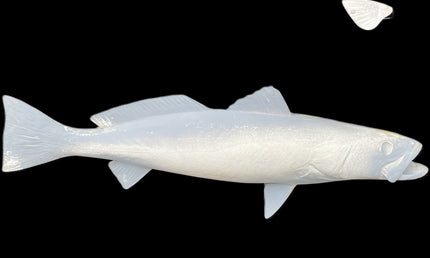 24-INCH SEATROUT BLANK, STANDARD