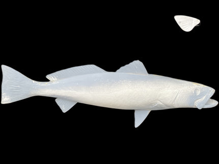 24-INCH SEATROUT BLANK, STANDARD