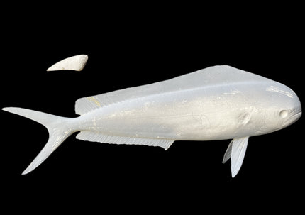 24-INCH COW DOLPHIN BLANK, STANDARD