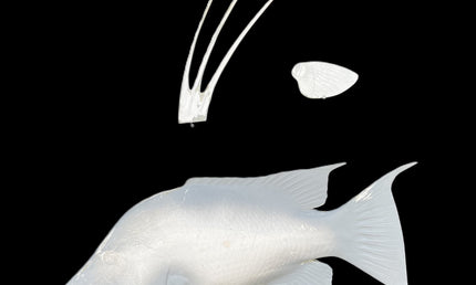 24-INCH HOG SNAPPER BLANK, STANDARD