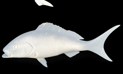 24-INCH YELLOWTAIL SNAPPER BLANK, STANDARD