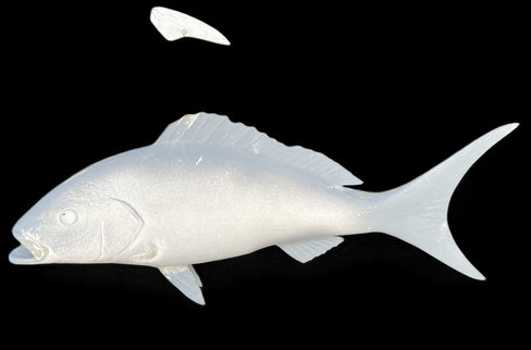 24-INCH YELLOWTAIL SNAPPER BLANK, STANDARD