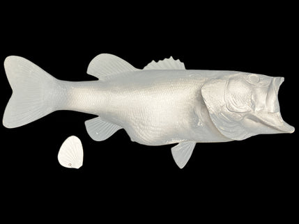 8.5-POUND LARGEMOUTH BASS BLANK, STANDARD