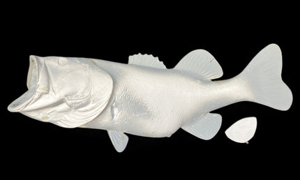 9-POUND LARGEMOUTH BASS BLANK, STANDARD