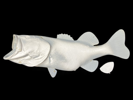 9-POUND LARGEMOUTH BASS BLANK, STANDARD