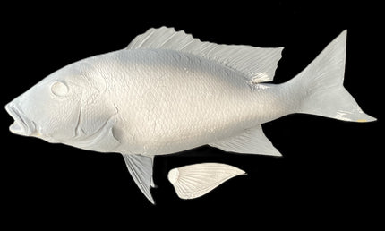 25-INCH MUTTON SNAPPER BLANK, STANDARD