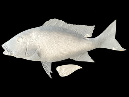 25-INCH MUTTON SNAPPER BLANK, STANDARD