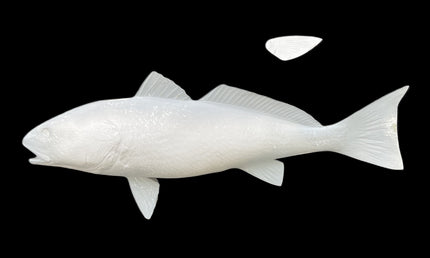 25-INCH REDFISH BLANK (L), STANDARD