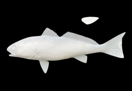 25-INCH REDFISH BLANK (L), STANDARD