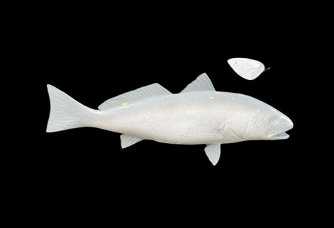 25-INCH REDFISH BLANK (R), STANDARD