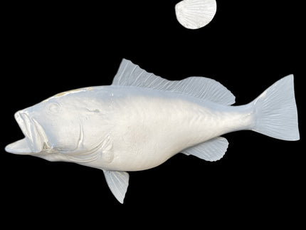 25-INCH RED GROUPER BLANK, STANDARD