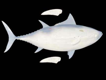 22-INCH SKIPJACK TUNA BLANK, STANDARD