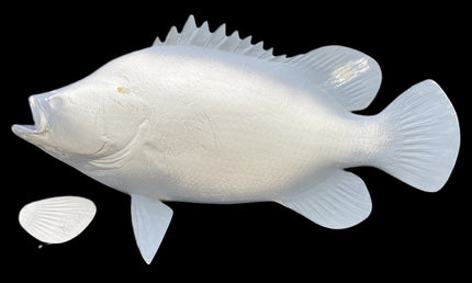 25-INCH TRIPLETAIL BLANK, STANDARD