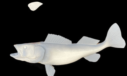 25-INCH WALLEYE BLANK (R), STANDARD
