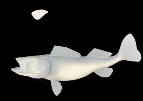 25-INCH WALLEYE BLANK (R), STANDARD