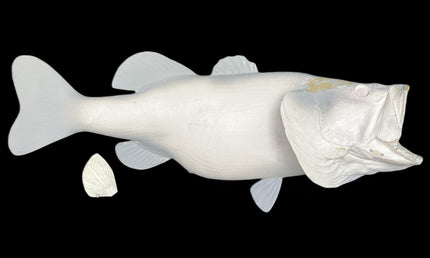 10-POUND LARGEMOUTH BASS BLANK, STANDARD