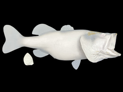 10-POUND LARGEMOUTH BASS BLANK, STANDARD