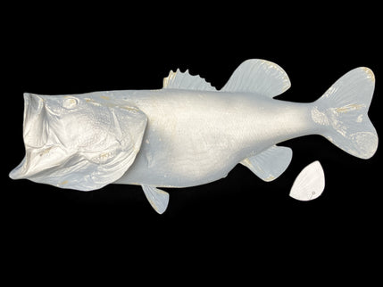 11.5-POUND LARGEMOUTH BASS BLANK, STANDARD