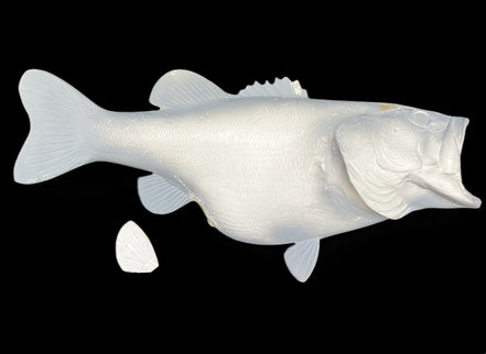 9.5-POUND LARGEMOUTH BASS BLANK, STANDARD