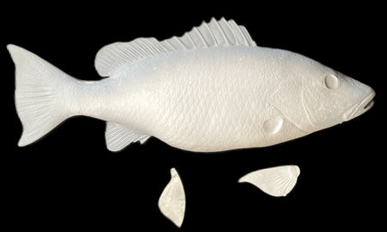 26-INCH MANGROVE SNAPPER BLANK, STANDARD