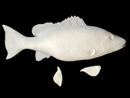 26-INCH MANGROVE SNAPPER BLANK, STANDARD