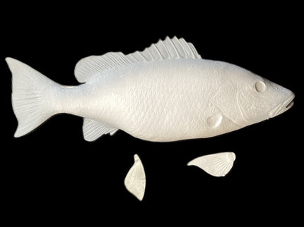 26-INCH MANGROVE SNAPPER BLANK, STANDARD