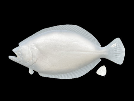 Collection image for: FLOUNDER BLANKS