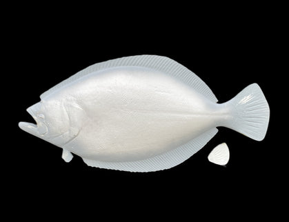 24-INCH FLOUNDER BLANK, STANDARD