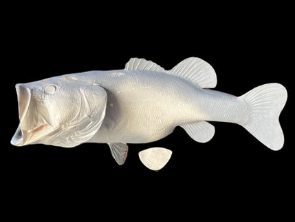 12-POUND LARGEMOUTH BASS BLANK, STANDARD