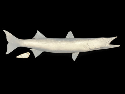 28-INCH BARRACUDA BLANK, STANDARD