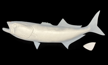 28-INCH BLUEFISH BLANK, STANDARD