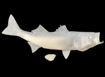 28-INCH STRIPED BASS BLANK (R), STANDARD