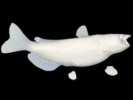 29-INCH CATFISH BLANK, STANDARD