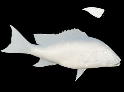 29-INCH MUTTON SNAPPER BLANK, STANDARD